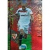 Buy Cards Kanouté Sevilla Mejor Horizontal Mundicromo 2008