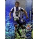 Tamudo Capitan Horizontal Espanyol 295