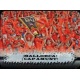Himno Castellano Mallorca 300