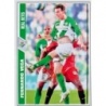 Sale Cards F. Vega Betis Fichas de la Liga 2008
