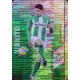 Juanito Capitan Security Horizontal Betis 430