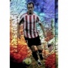 Buy Online Etxeberria Athletic Bilbao Capitan Horizontal Mundicromo Fichas Liga 2008