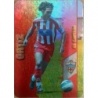 Buy Cards Ortiz Almeria Capitan Horizontal Mundicromo 2008