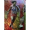 Offer Cards Ortiz Almeria Capitan Vertical Mundicromo Fichas 2008