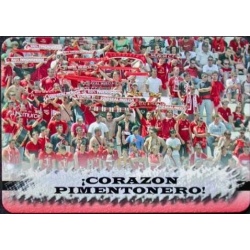 Himno Murcia 516