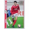 Buy Cards Richi Murcia Fichas de la Liga 2008 Mundicromo