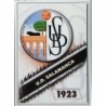 Buy Cards Escudo Salamanca Segunda División Mundicromo Fichas Liga 2008