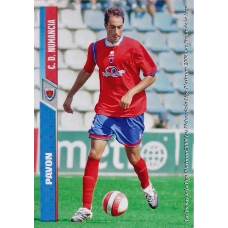 Pavón Numancia 898