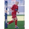 Buy Cards Michel Xerez Mundicromo Fichas Liga 2008