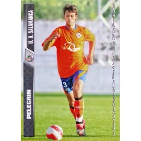Pelegrin Salamanca 976