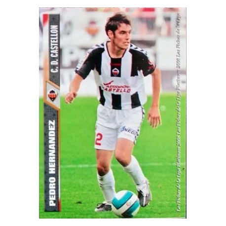 Pedro Castellon 1005