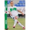 Buy Cards Amaya Elche Fichas +III Fichas de la Liga 2008