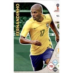 Fernandinho Brasil 45