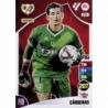 Comprar Trading Card Cárdenas Rayo Vallecano Panini Adrenalyn Liga 2024-25