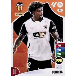 Correia Valencia 310