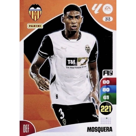 Mosquera Valencia 313