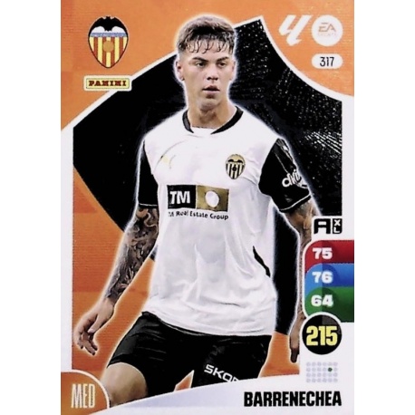 Barrenechea Valencia 317