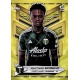 Santiago Moreno Yellow Common Portland Timbers 149