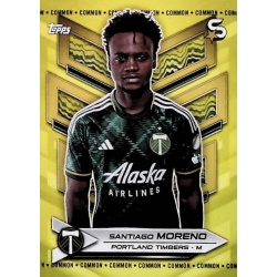 Santiago Moreno Yellow Common Portland Timbers 149