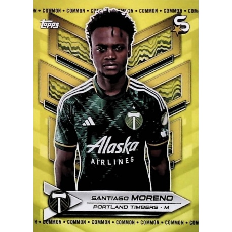 Santiago Moreno Yellow Common Portland Timbers 149