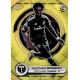 Santiago Moreno Image Variation Yellow Common Portland Timbers 149b