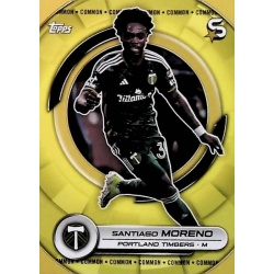 Santiago Moreno Image Variation Yellow Common Portland Timbers 149b
