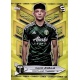 David Ayala Yellow Common Portland Timbers 165