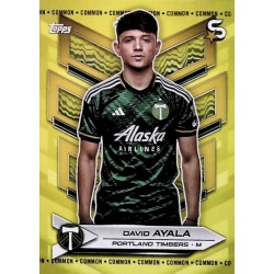 David Ayala Yellow Common Portland Timbers 165