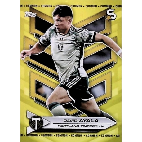 David Ayala Image Variation Yellow Common Portland Timbers 165b