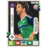 Oferta Cromos Will Grigg Northern Ireland Adrenalyn XL Road to 2018