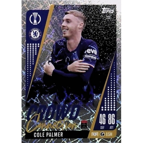 Cole Palmer Crowd Connection Chelsea 223