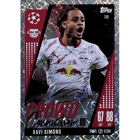 Xavi Simons Crowd Connection RB Leipzig 230