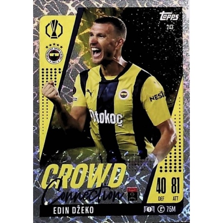 Edin Džeko Crowd Connection Fenerbahçe SK 243