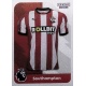 Home Shirt Southampton 19