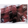 Oferta Cromo Flag Arsenal Panini Sticker Album 2025