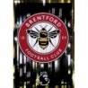Compra Online Escudo Brentford Panini Premier League 2025