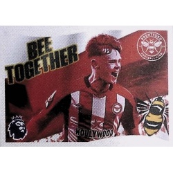 Flag Brentford 115