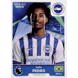 João Pedro Brighton & Hove Albion 156