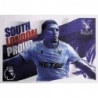 Compra Online Flag Crystal Palace Premier League Official Sticker Collection 2025