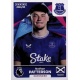 Flag Everton 231