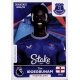 Tim Iroegbunam Everton 242