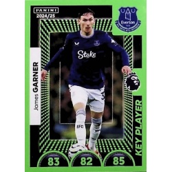 James Garner Key Player Everton 252