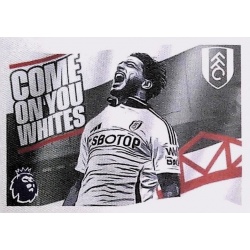 Flag Fulham 260