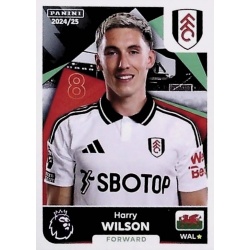 Harry Wilson Fulham 273
