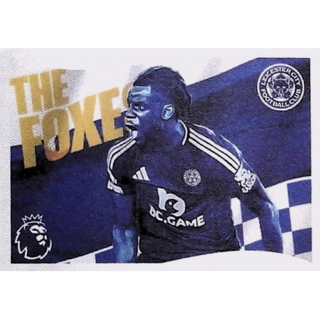 Flag Leicester City 352