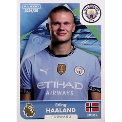 Erling Haaland Manchester City 432