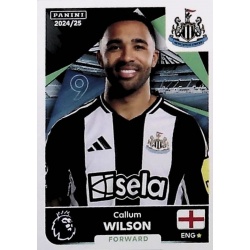 Callum Wilson Newcastle United 482