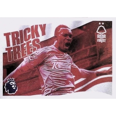 Flag Nottingham Forest 497