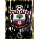 Escudo Southampton 521