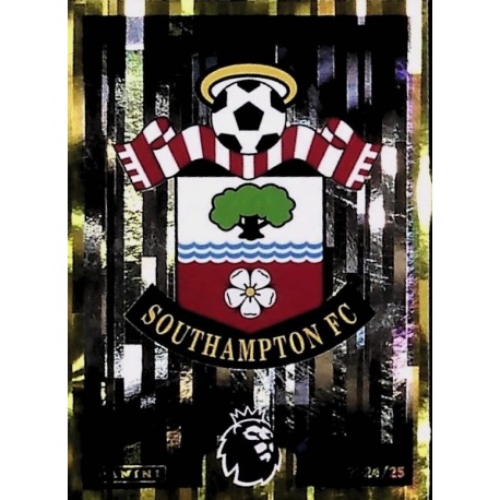 Escudo Southampton 521